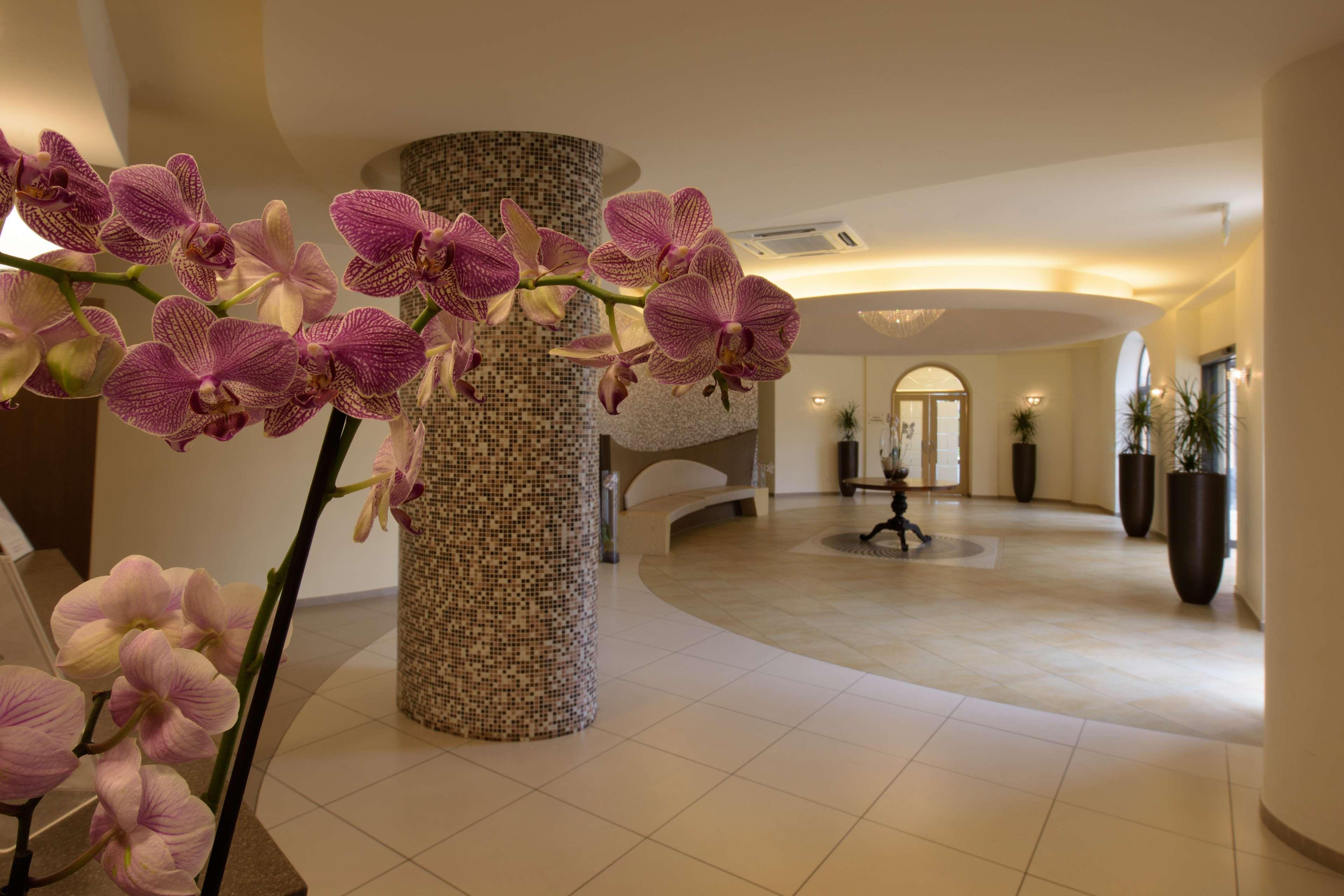 San Severino Park Hotel & Spa, BW Signature Collection Меркато Сан Северино Екстериор снимка